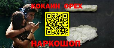 шишки Новозыбков