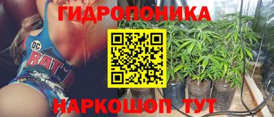прущие грибы Обь