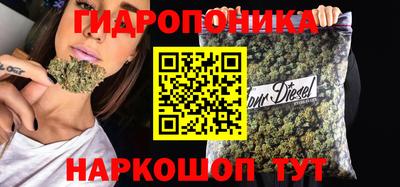 прущие грибы Обь