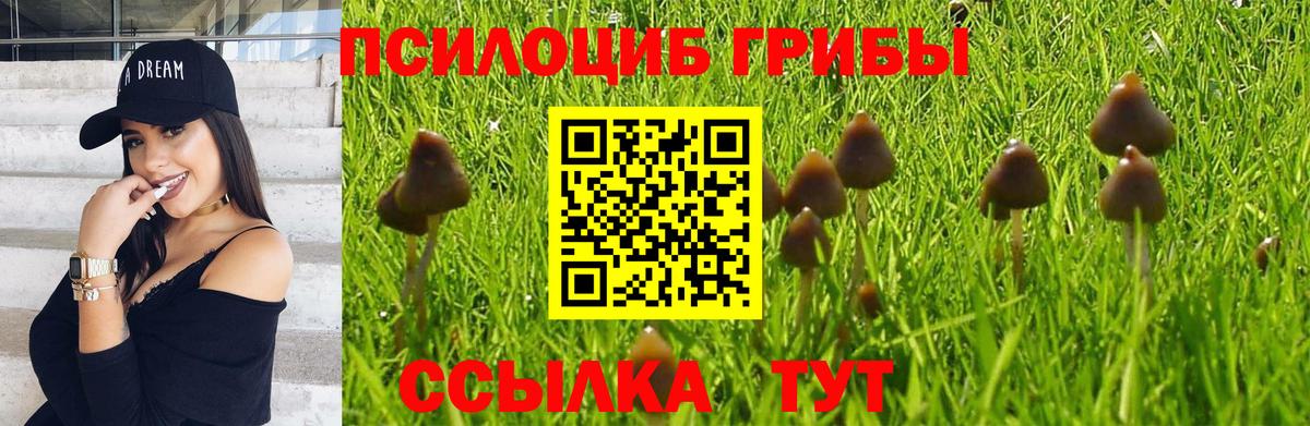 Псилоцибиновые грибы мицелий  Псилоцибиновые грибы Magic Shrooms  Спасск-Дальний  Вход с VPN 